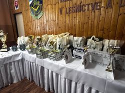 Kmppp 24 MH 70 Zmensena